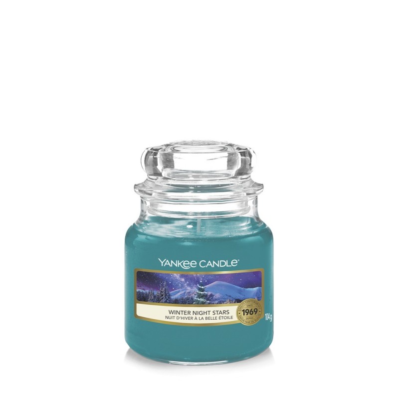 winter-night-stars-sloik-maly